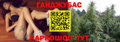 mdpv Славгород