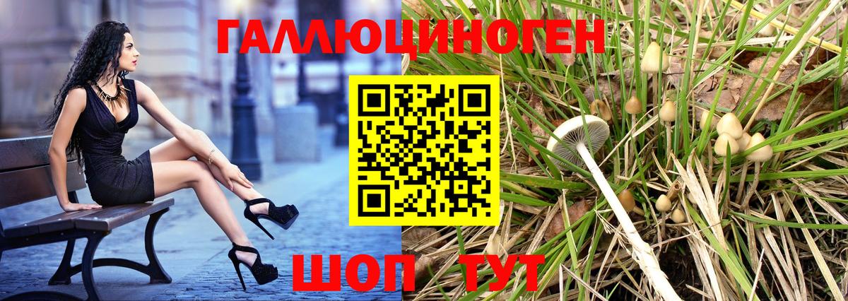 Псилоцибиновые грибы MAGIC MUSHROOMS Новочеркасск