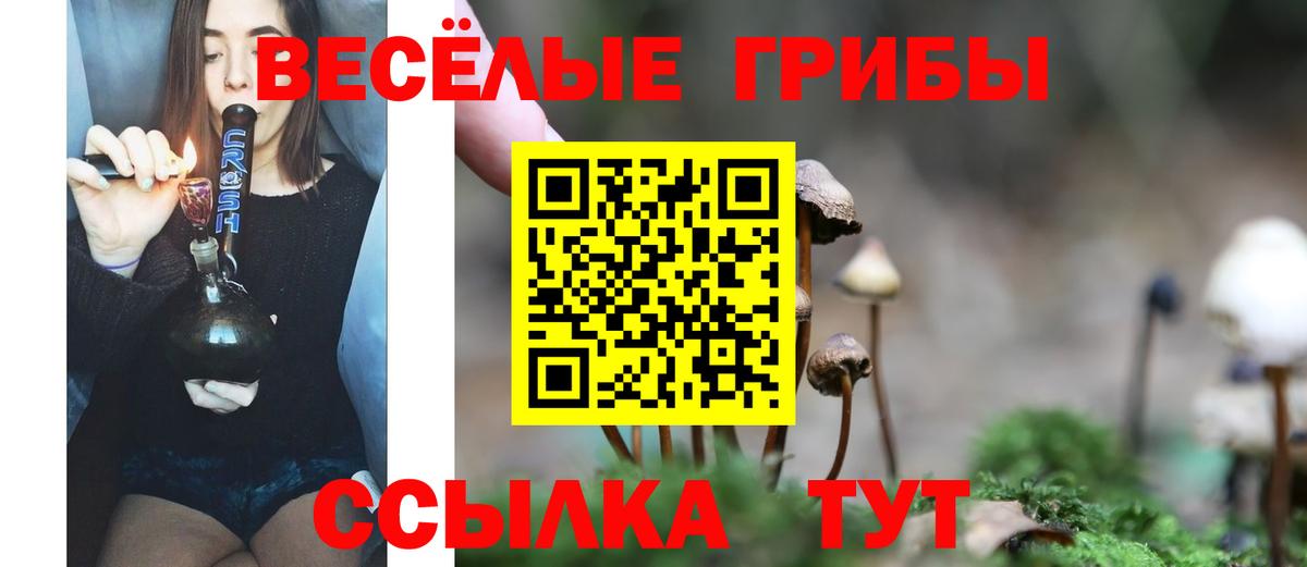 Псилоцибиновые грибы Psilocybe  купить наркотики цена  Псилоцибиновые грибы MAGIC MUSHROOMS  Новочеркасск  Вход с VPN 